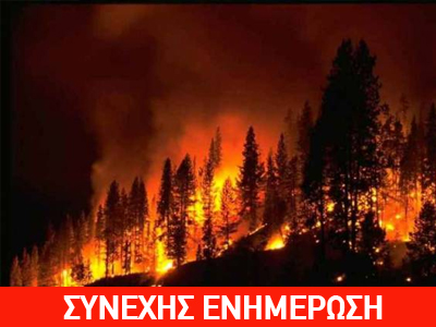 Σε εξέλιξη δασική πυρκαγιά στην Ιστιαία Ευβοίας